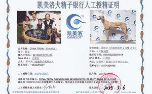 丹纳特龙X黄精灵 BLNZ2，941000225081014.jpg