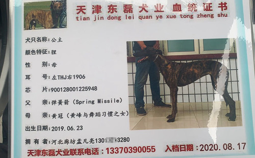 公主 900128001225948，THJ1906