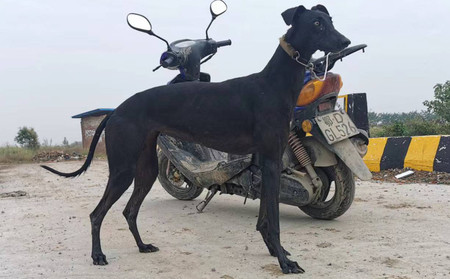 小巴特 900215002088845