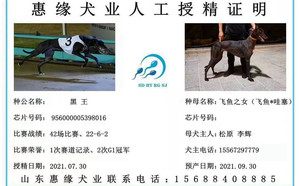 黑王X黑母，松原李辉（2021年7月30日配）.jpg