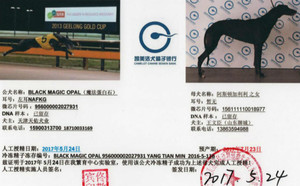 魔法蛋白石X九七七156111110018977.jpg