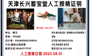 黑王X帕夫的女孩 900128001225106.jpg