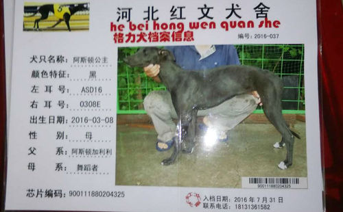 阿斯顿公主 ASD16 0308E，900111880204325