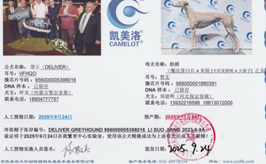 黑王X麒麟 988000001880391.jpg