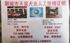 喷射X黑钻 900219001283858.jpg