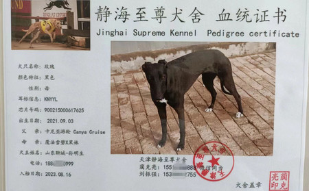 玫瑰 900215000617625