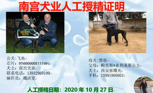 飞鱼X黑带156111110096135，西安张曙光.jpg