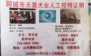 喷射X蛋白黄剑 992001000381716.jpg