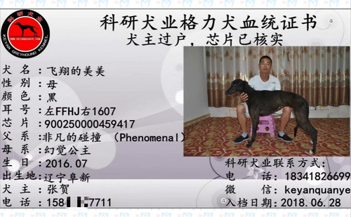 飞翔的美美 900250000459417，FFHJ1607