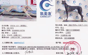 弹簧枪X蝙蝠 156111110093451.jpg
