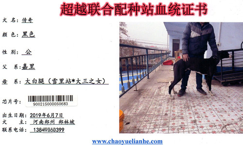 传奇 900215000050683