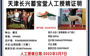 黑王X小白136046579990065.jpg