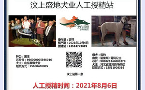 黑王X雪豹 900023344088278，NLBF1512，156111110029370.jpg