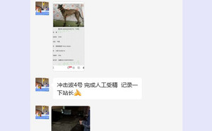 冲击波X黑珍珠 941000225081731，TY960.jpg