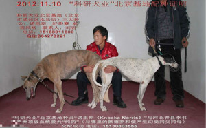 诺里斯X纯的 Pure Monelli，9557 104D.jpg