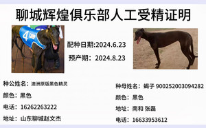 黑色精灵X蝎子 900252003094282.jpg