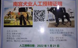 尼克斯X红色卡佳900215002088380.jpg