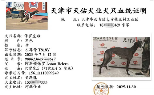 保罗皇后 900023069708647，T818Y