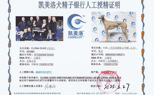 杜克X红狐988000001880271.jpg
