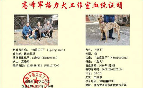狸子 900128001225194，GAOD