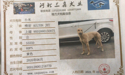 小米900128001216770