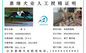 黑王X奇怪的射线 S5510 109N，900128001216130.jpg