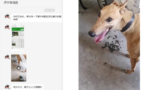 黄午夜X拉克兰戴尔儿 900250000765816，LKXS1810.jpg