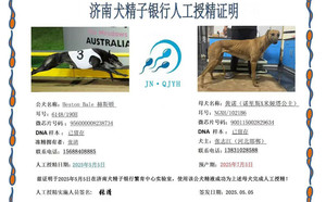赫斯顿X黄诺 900115002829634，NGXH1021B6.jpg