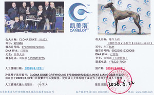 杜克X爆炸女孩900239912309068，BLH.jpg