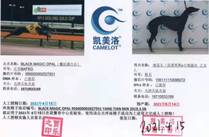 魔法蛋白石X雨花石 156111110096072.jpg
