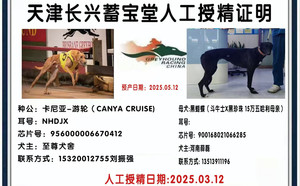 卡尼亚游轮X黑蝴蝶 900168021066285.jpg