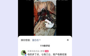 魔法蛋白石X黄花梨 TY536，941000225080536.jpg