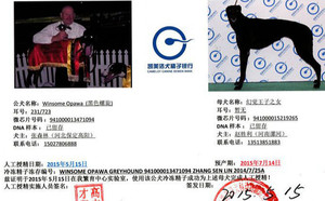 黑色螺旋X黑妞 941000015219265.jpg