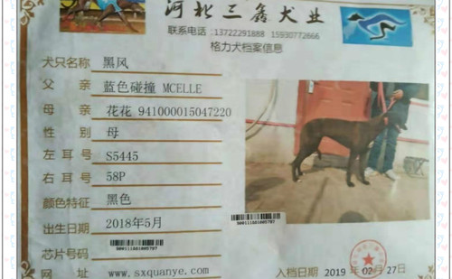 黑风 S5445 58P，900111881005797