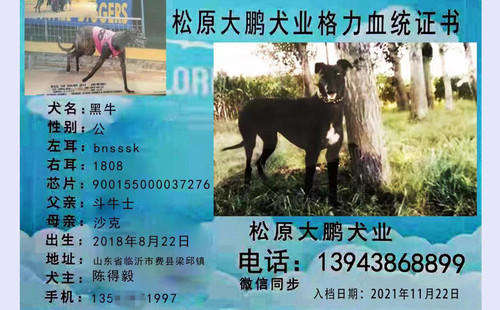 黑牛 900155000037276，BNSSSK