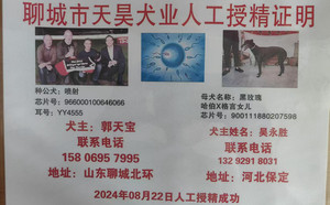 喷射X黑玫瑰 NGQX 514C，900111880207598.jpg