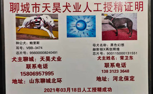 鲍里斯X黑色幻想 HSZC 1308，900115000131551.jpg