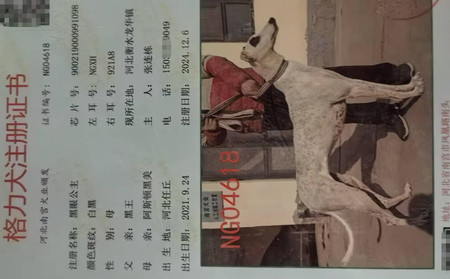 黑眼公主 900219000991098，NGXH921A8