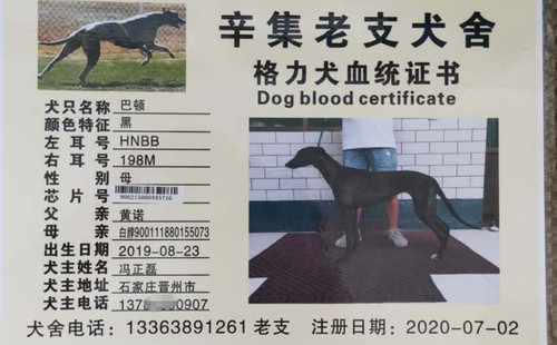 巴顿 900215000445716，HNBB198M