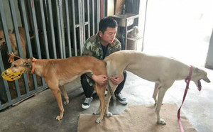 海浪来袭X菲特 Anywhere Anytime，956000008462570，B05V.jpg