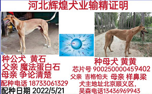 黄石X黄黄 PFYB1，941000225080517.jpg