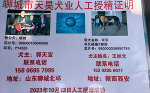 喷射X可乐990000006890785.jpg