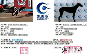 阿斯顿保罗X辉煌公主 900250000352198.jpg