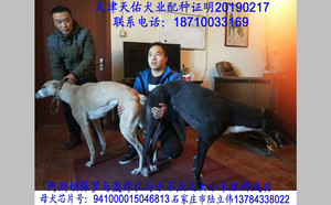 阿斯顿保罗X小米 HZXB 0078T，941000015046813.jpg