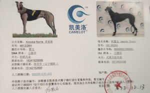 诺里斯X阿曼达 Amanda Bynes，36F 68264，988000001880001.jpg