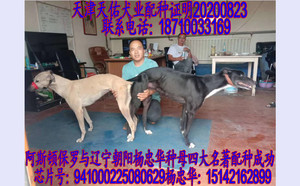 阿斯顿保罗X四大名著 DBZL6，941000225080629.jpg