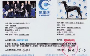 杜克X妞妞 941000225081061.jpg
