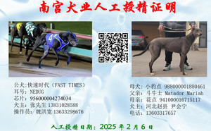 快速时代X小豹点 988000001880461.jpg