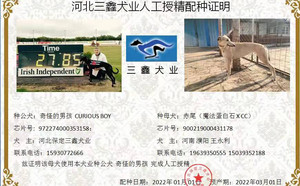 奇怪的男孩X赤尾900219000431178.jpg