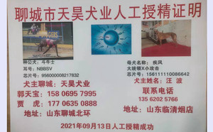 斗牛士X疾风 NGQX 714A，156111110086642.jpg